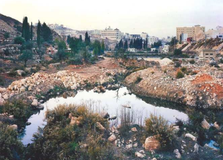 Verwilderte Baustelle/Steinbruch mit Tümpel, Geröll und Gebäuden im Hintergrund